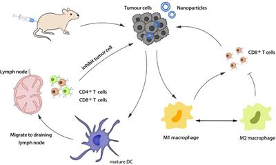 Nano Drug Delivery System for Tumor Immunotherapy: Next-Generation Therapeutics